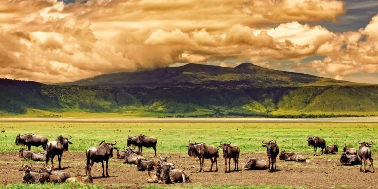 shutterstock_212603380-1280x640